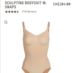 SKIMS Sculpting Bodysuit (Clay) | S/M
